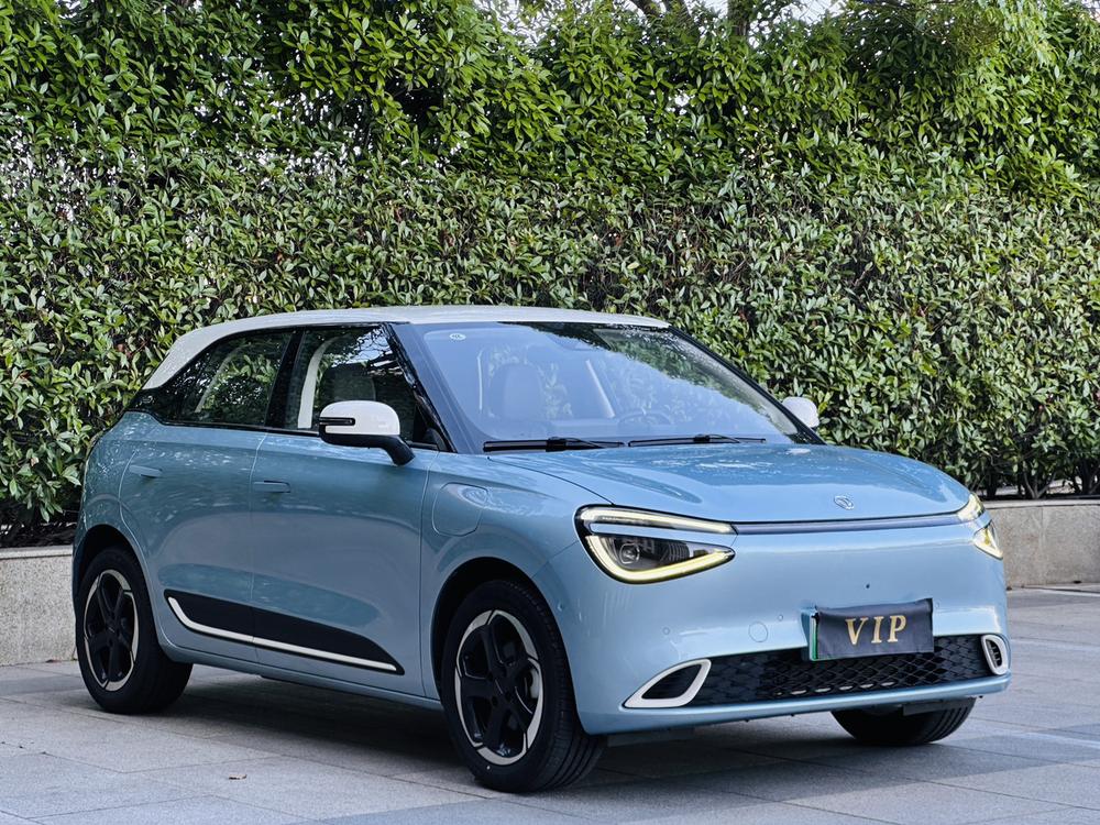 Dongfeng Yipai Nami 01