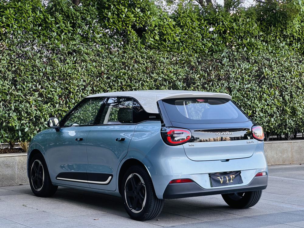 Dongfeng Yipai Nami 01