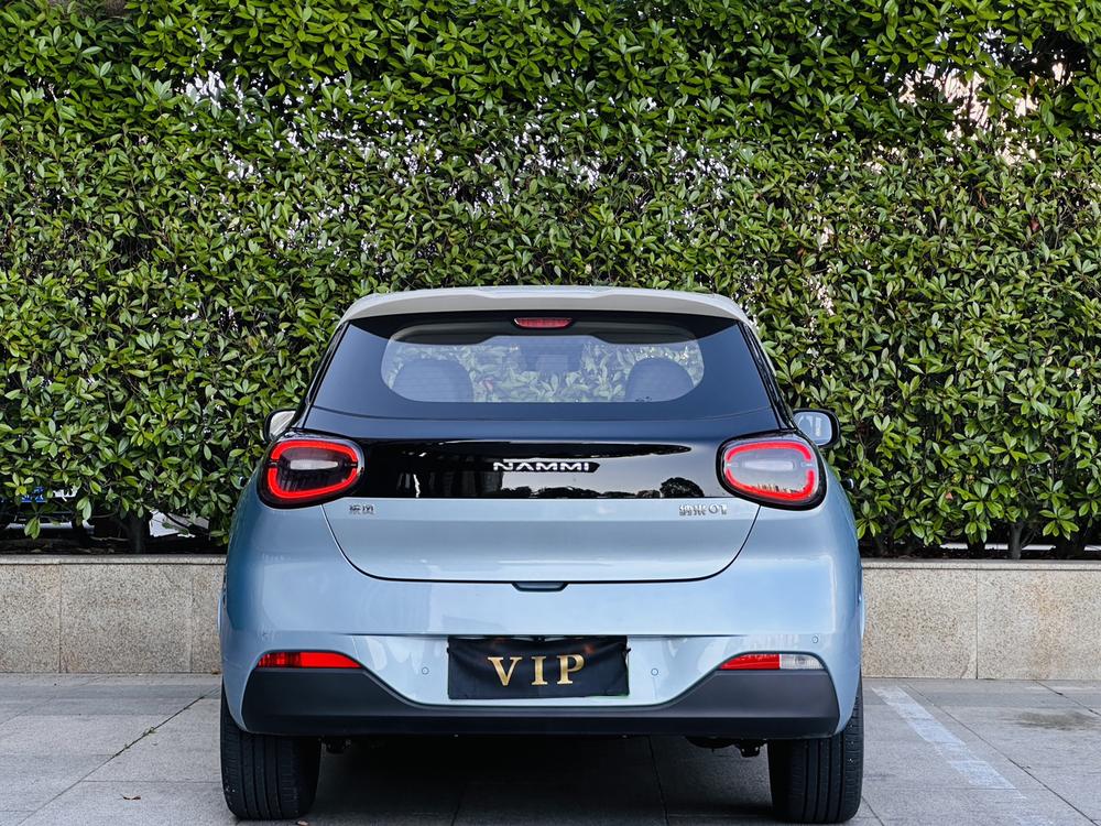 Dongfeng Yipai Nami 01