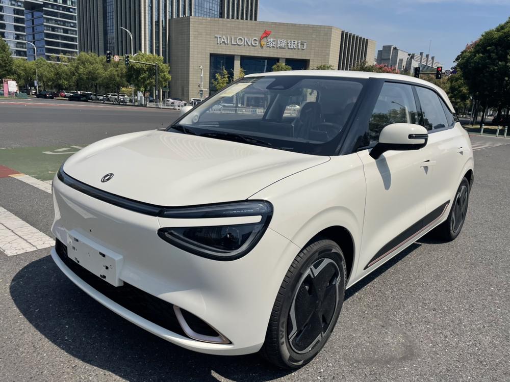 Dongfeng Yipai Nami 01