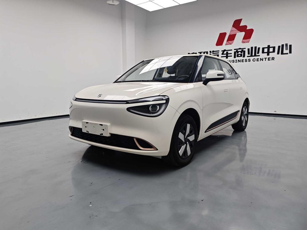Dongfeng Yipai Nami 01