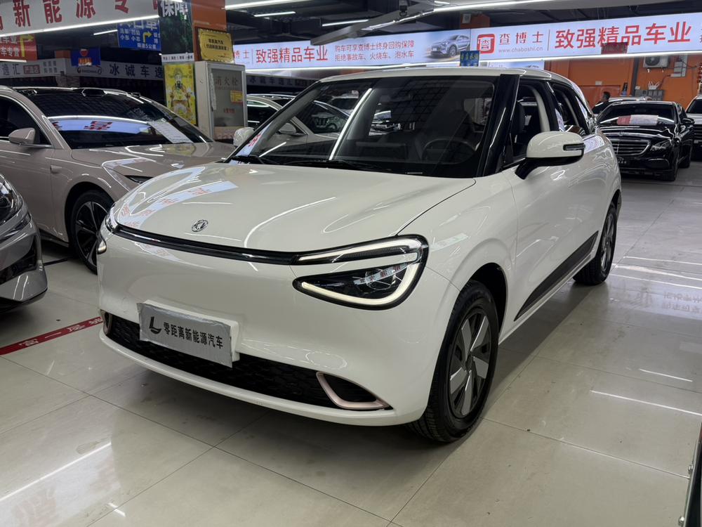 Dongfeng Yipai Nami 01