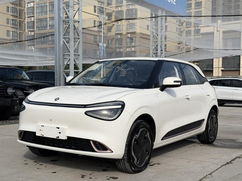 Dongfeng Yipai Nami 01