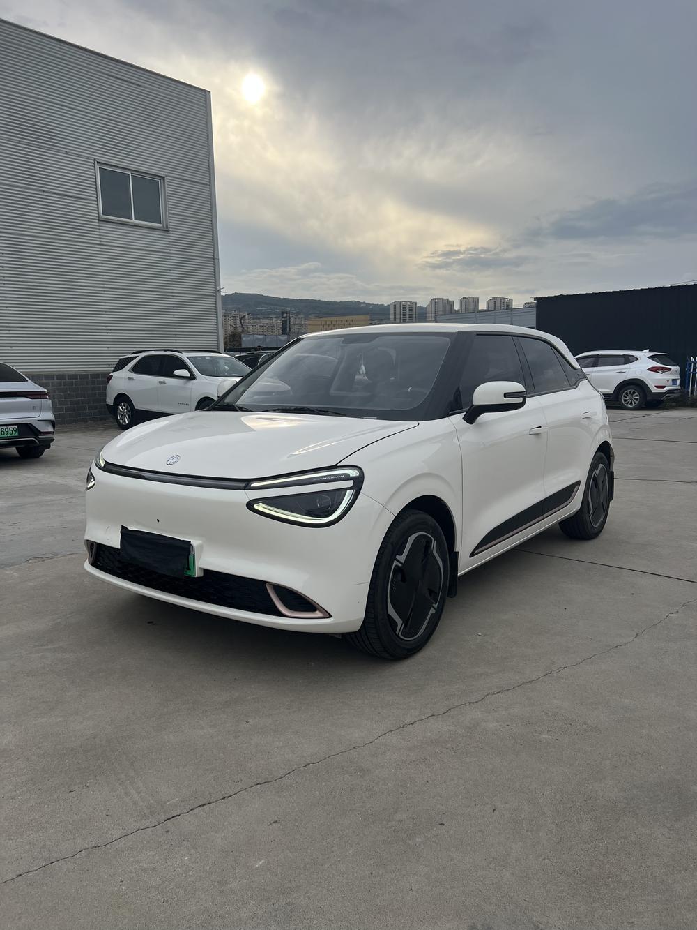 Dongfeng Yipai Nami 01