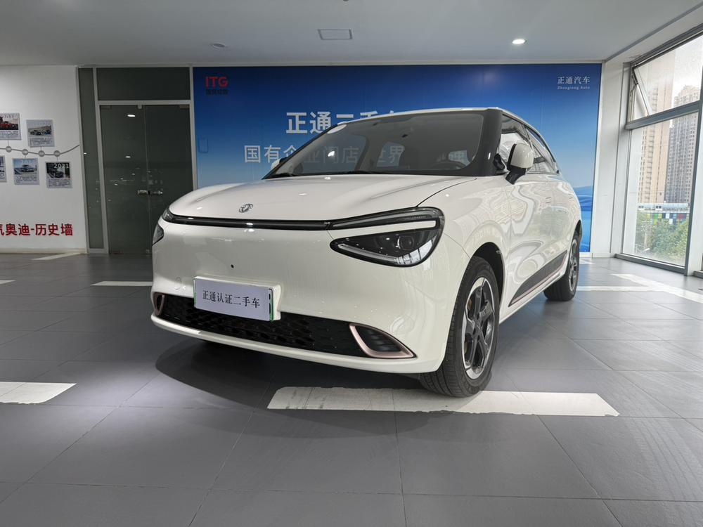 Dongfeng Yipai Nami 01