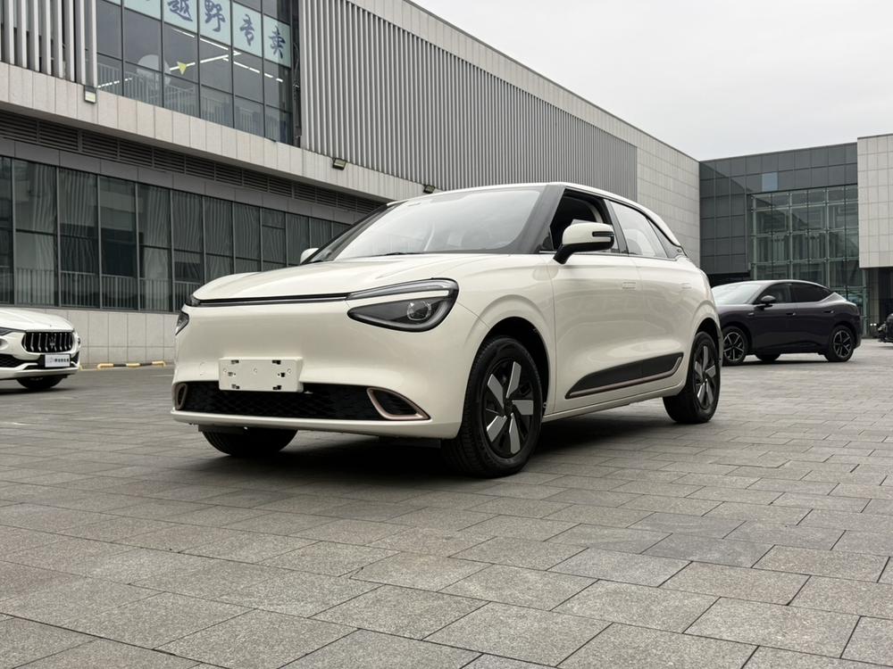 Dongfeng Yipai Nami 01
