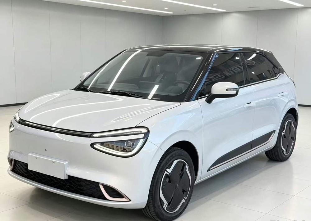 Dongfeng Yipai Nami 01