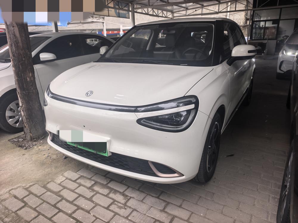 Dongfeng Yipai Nami 01