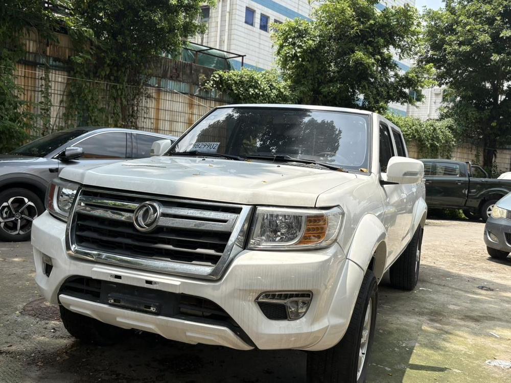 Dongfeng Rich