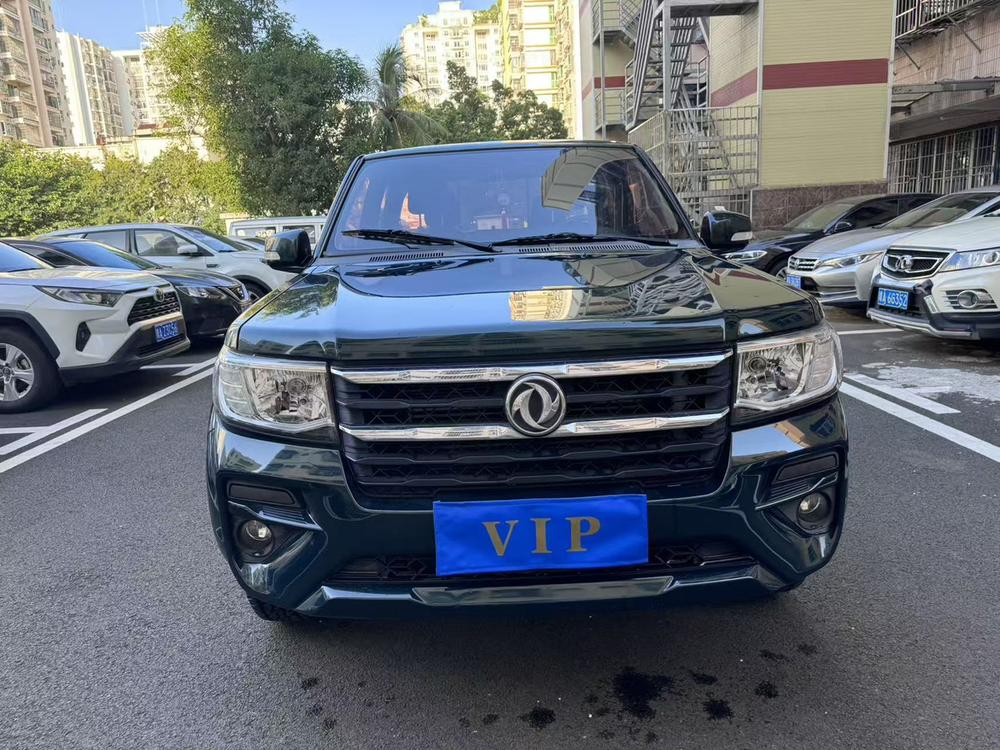 Dongfeng Rich