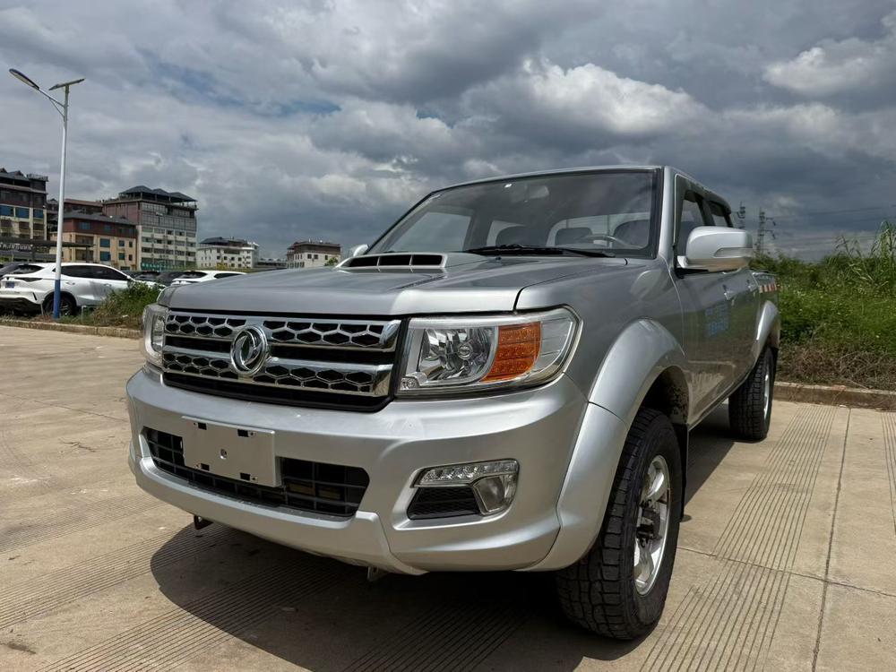 Dongfeng Rich