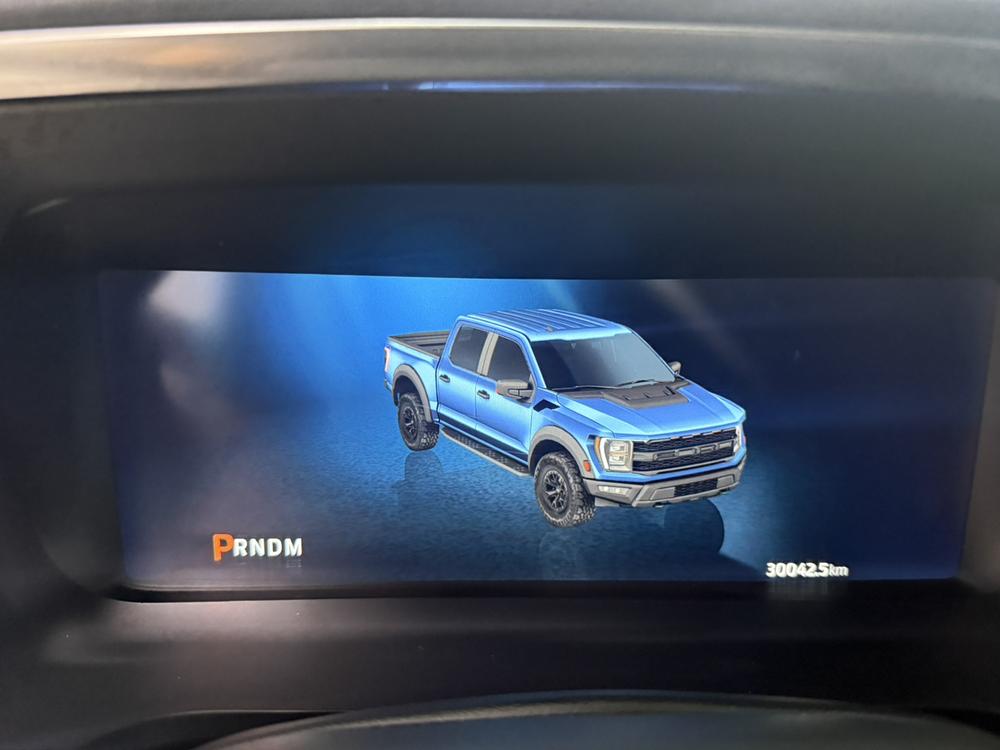 Ford Ford F-150 Raptor