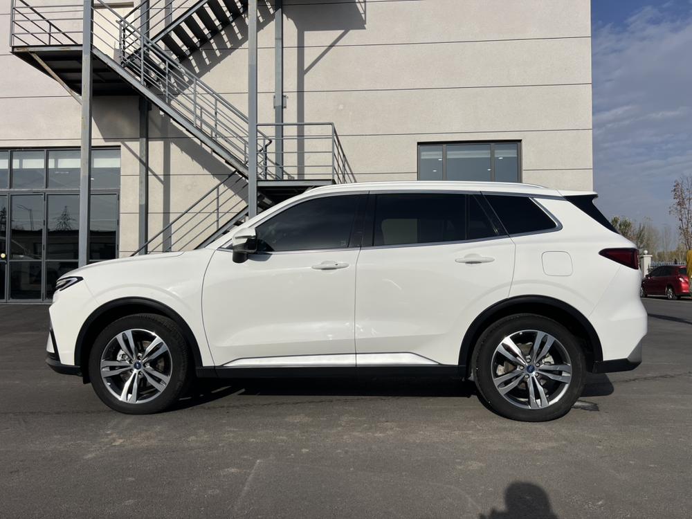 Ford Lingrui