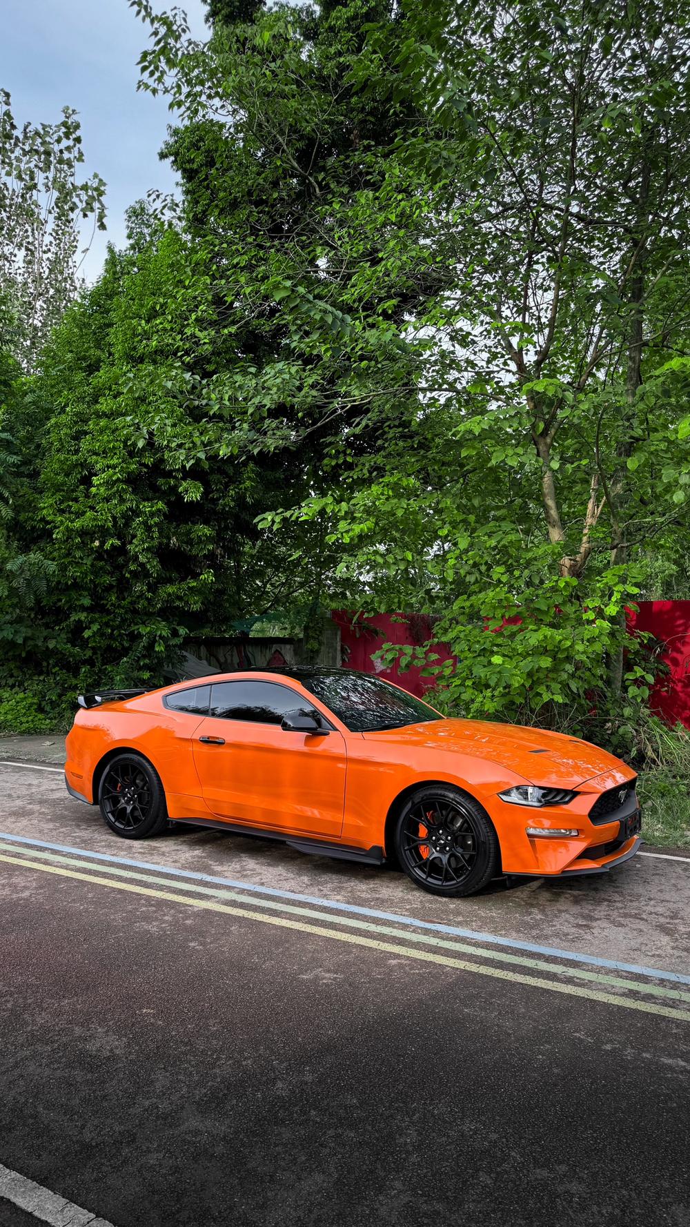 Ford Mustang