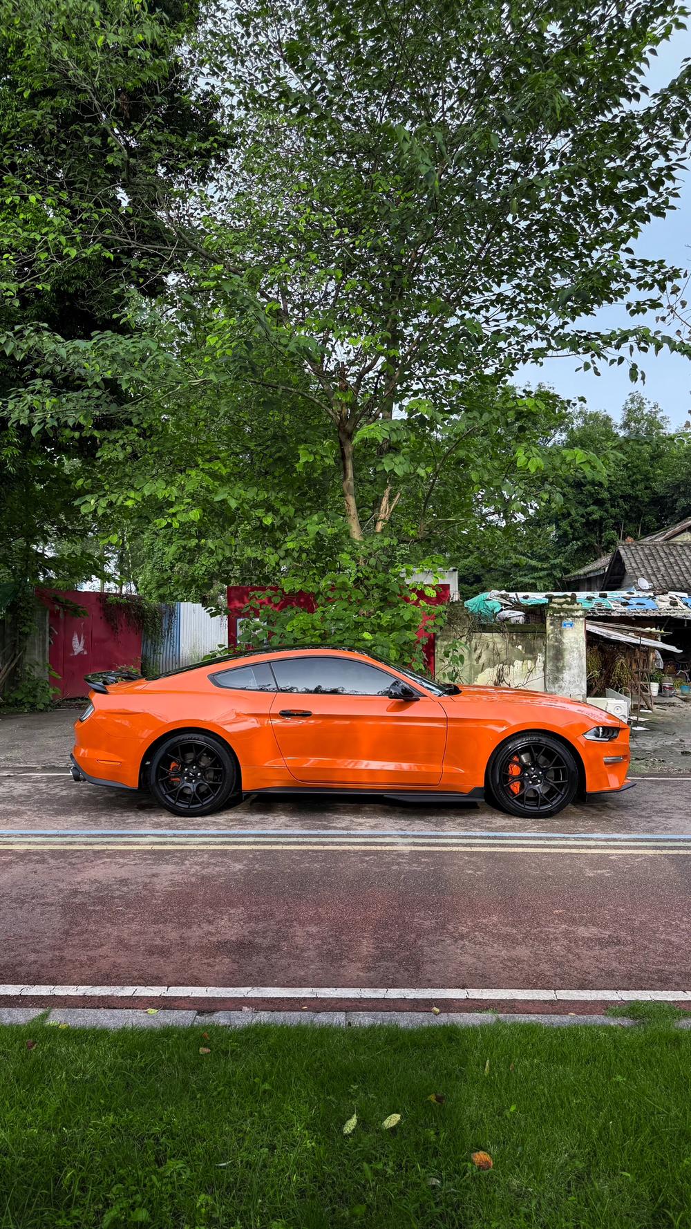 Ford Mustang
