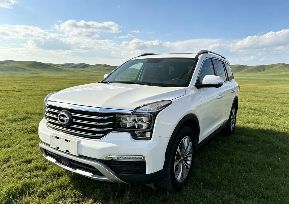 GAC Trumpchi Trumpchi GS8