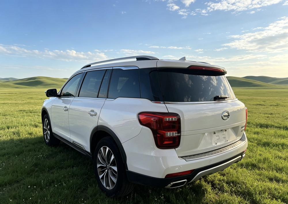 GAC Trumpchi Trumpchi GS8