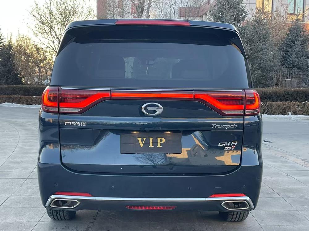 GAC Trumpchi Trumpchi M8