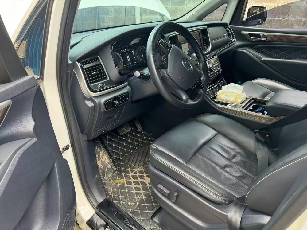 GAC Trumpchi Trumpchi M8