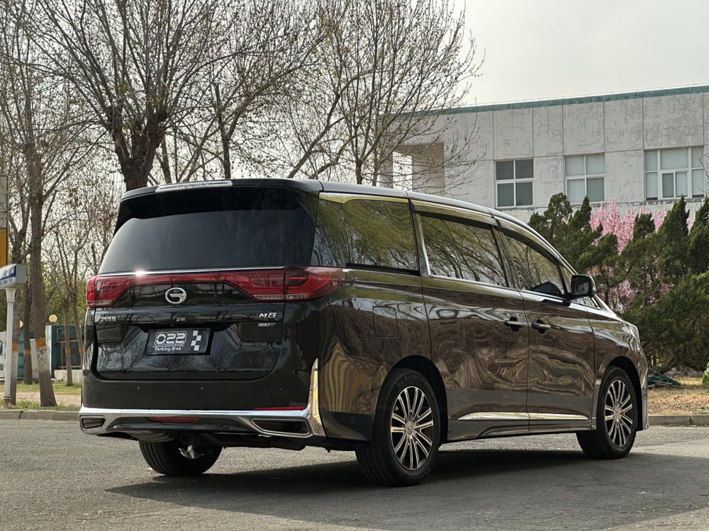 GAC Trumpchi Trumpchi M8