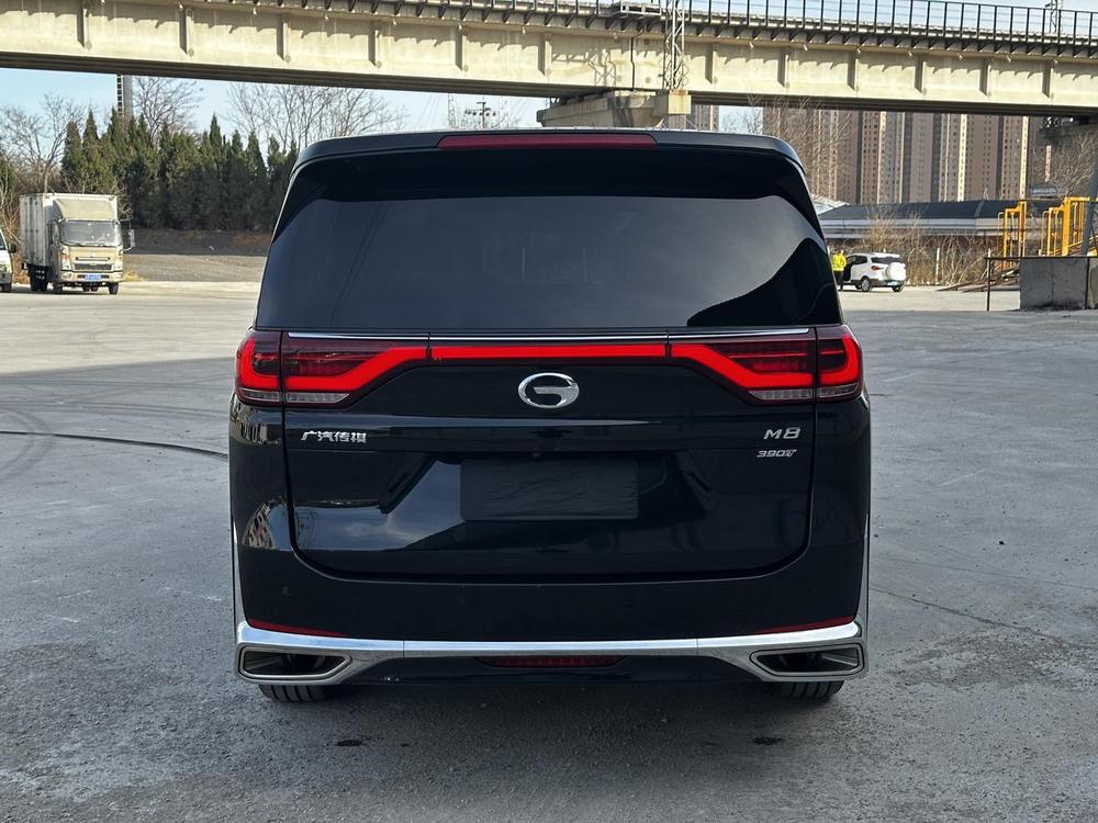 GAC Trumpchi Trumpchi M8