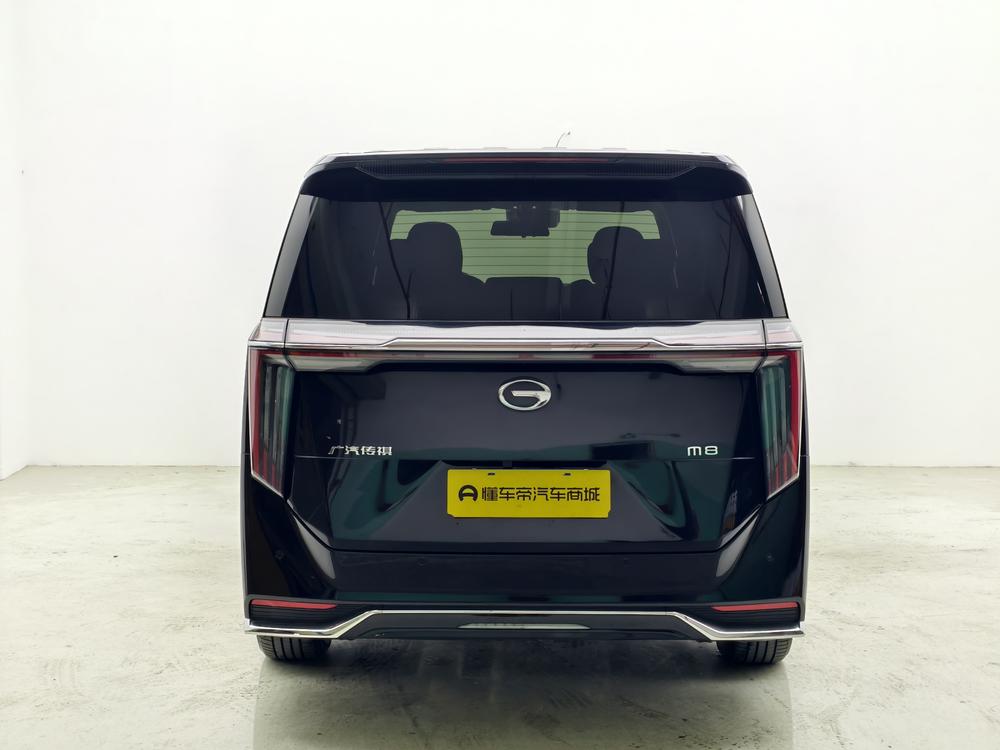 GAC Trumpchi Trumpchi M8