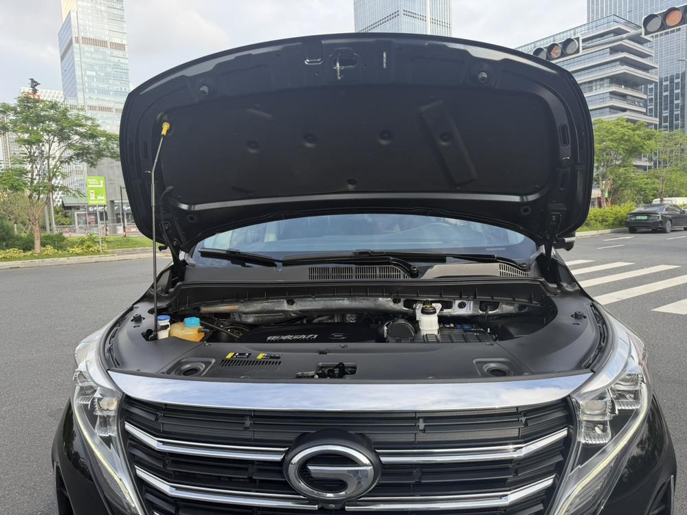 GAC Trumpchi Trumpchi M8