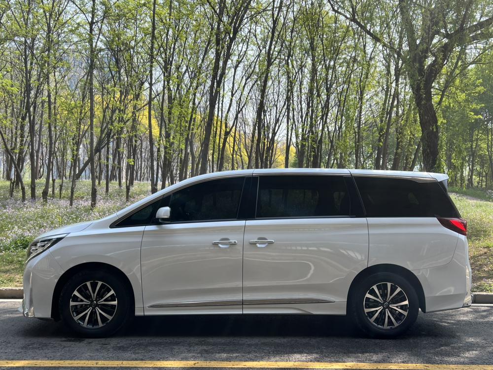 GAC Trumpchi Trumpchi M8