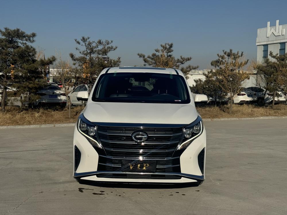 GAC Trumpchi Trumpchi M8