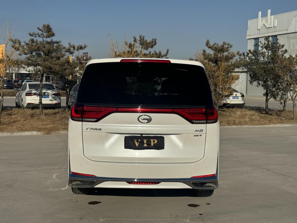 GAC Trumpchi Trumpchi M8