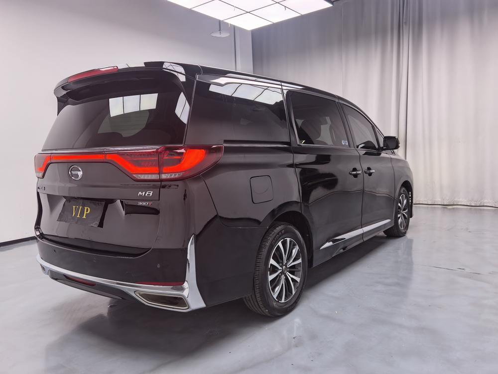 GAC Trumpchi Trumpchi M8