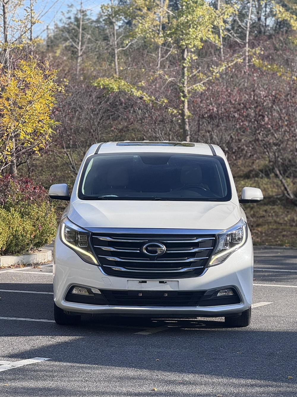 GAC Trumpchi Trumpchi M8