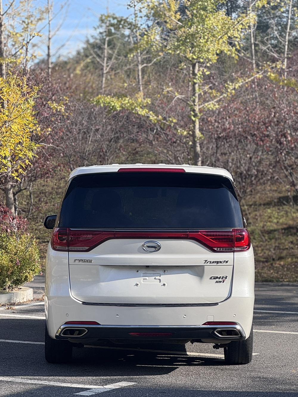 GAC Trumpchi Trumpchi M8