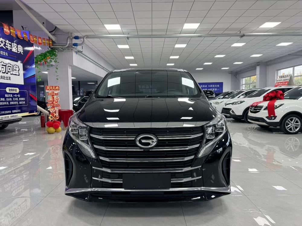 GAC Trumpchi Trumpchi M8