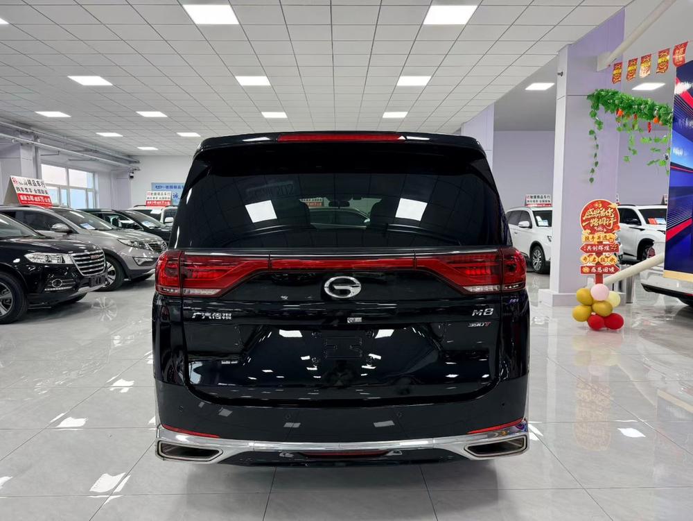 GAC Trumpchi Trumpchi M8