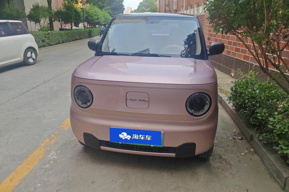 Galaxy Panda