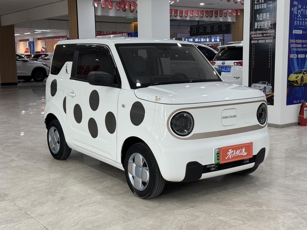 Galaxy Panda