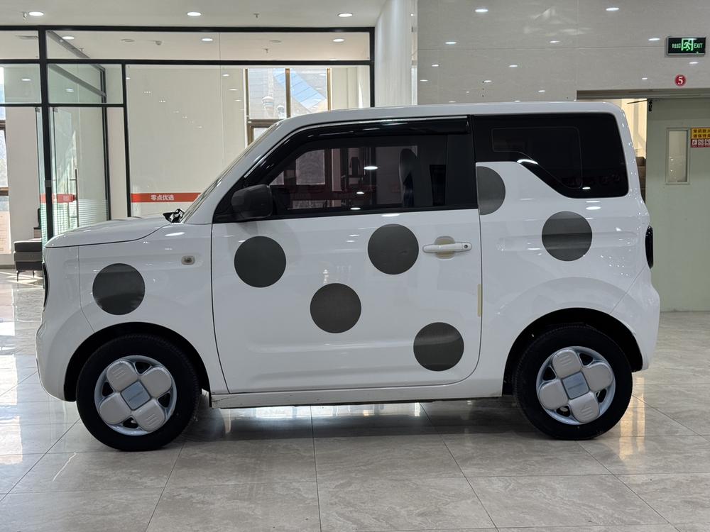 Galaxy Panda