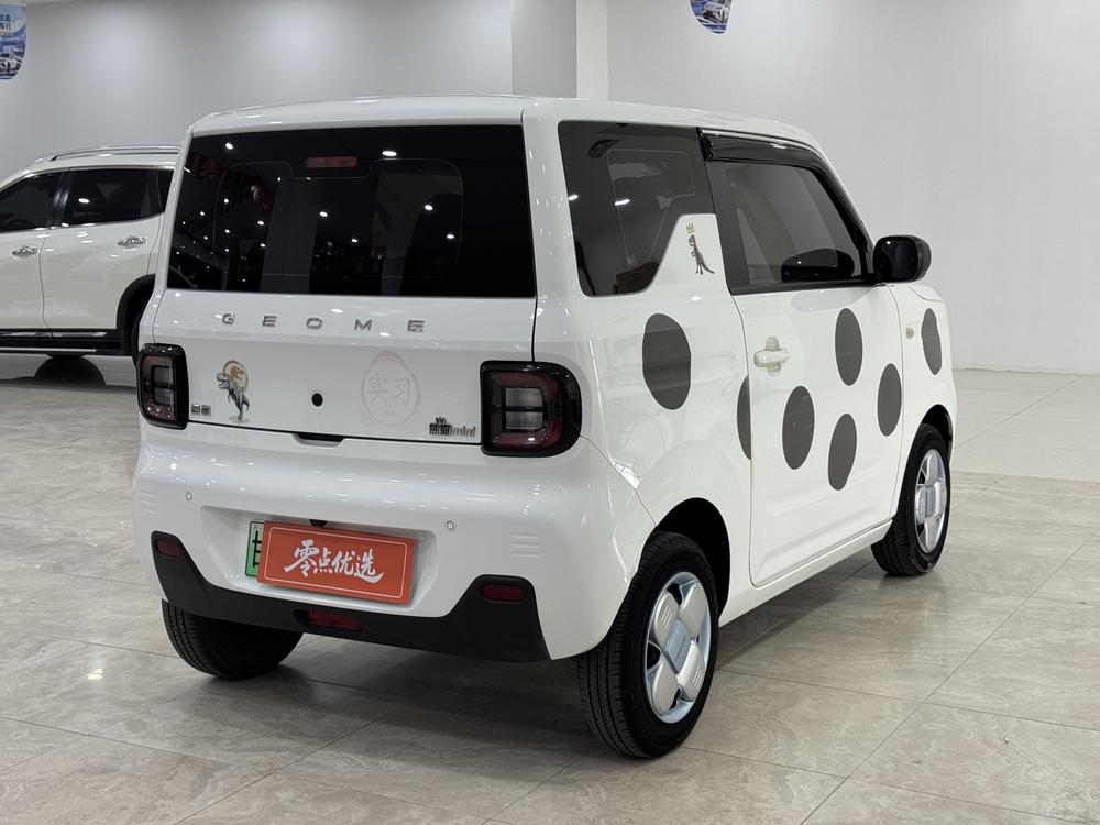 Galaxy Panda