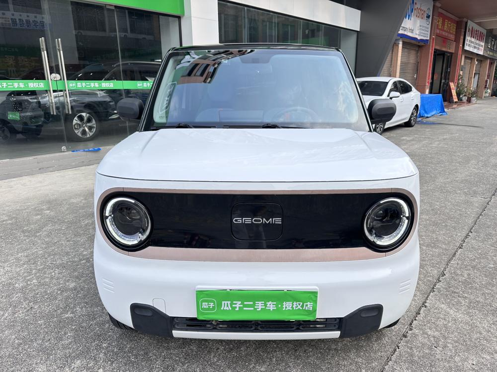 Galaxy Panda