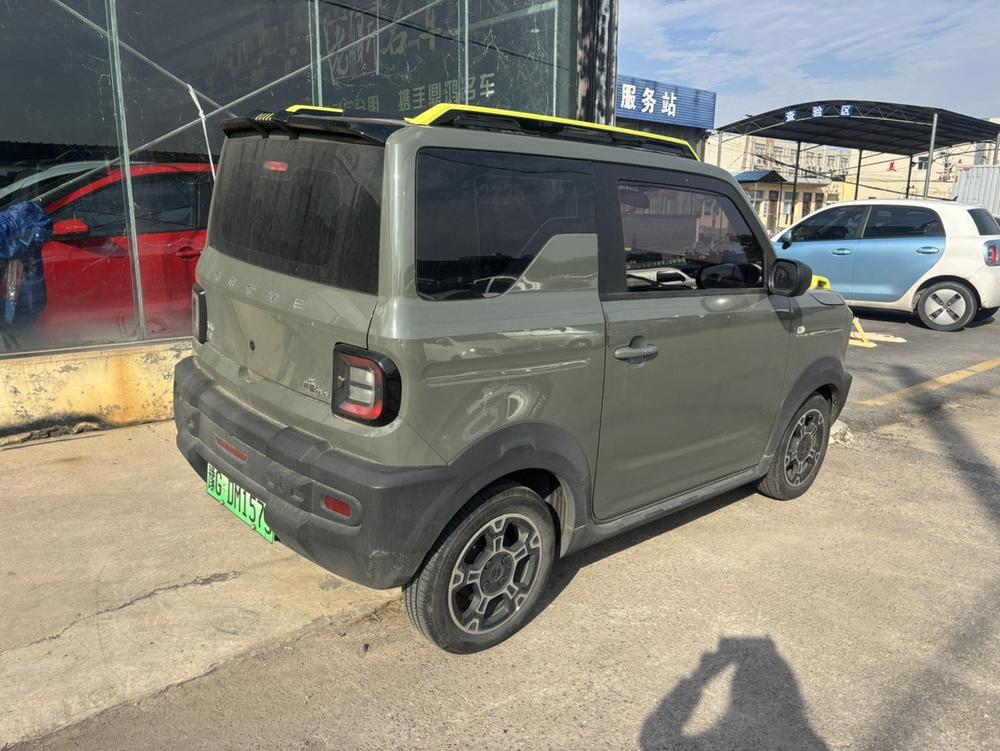 Galaxy Panda