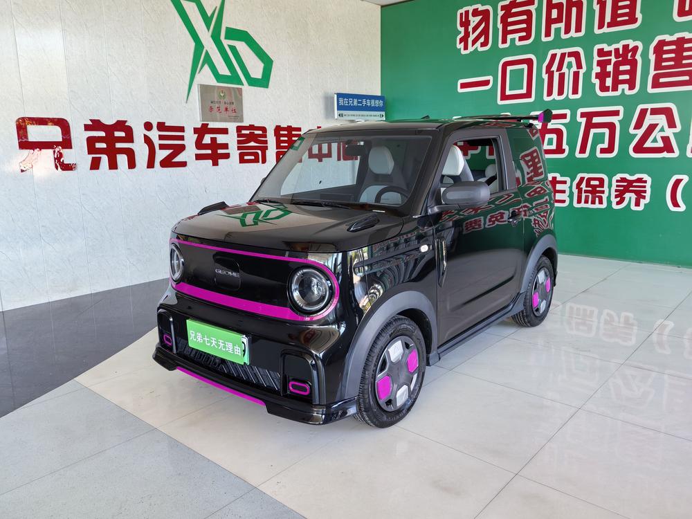 Galaxy Panda
