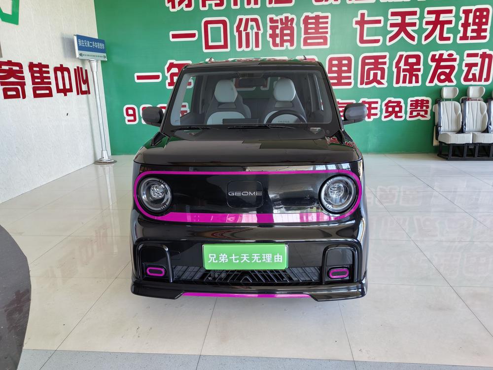 Galaxy Panda