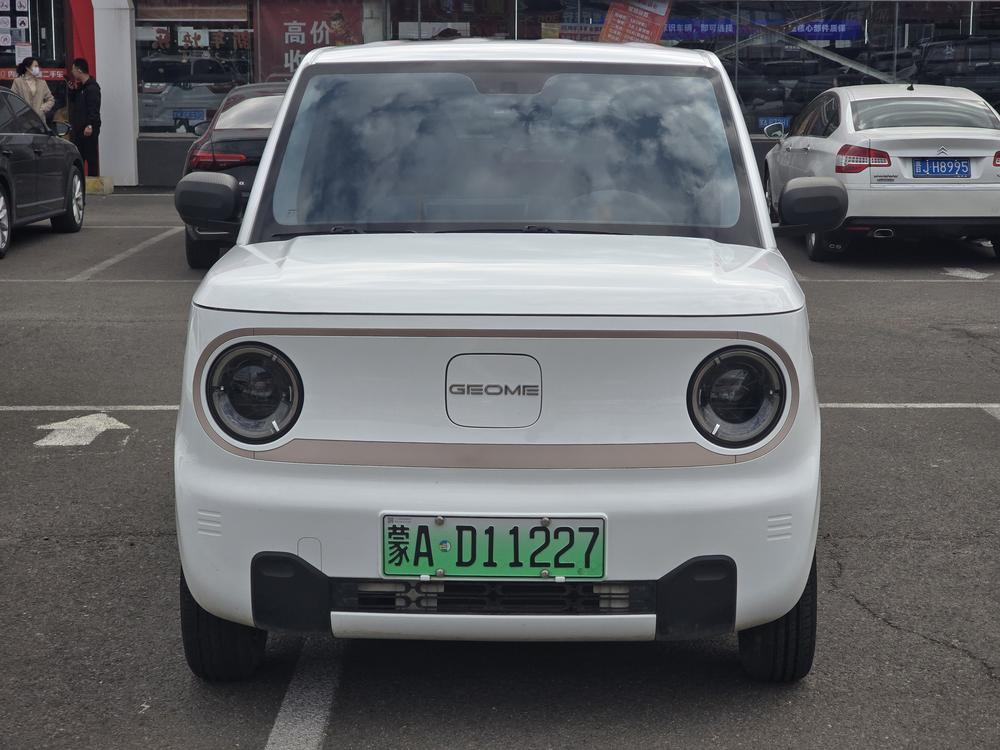 Galaxy Panda