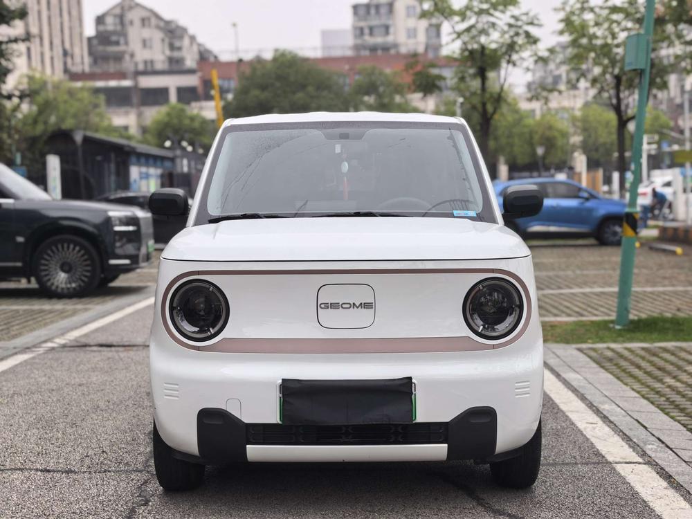 Galaxy Panda