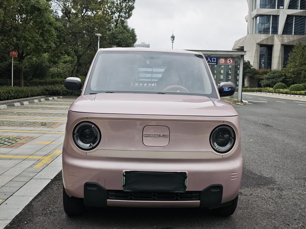 Galaxy Panda