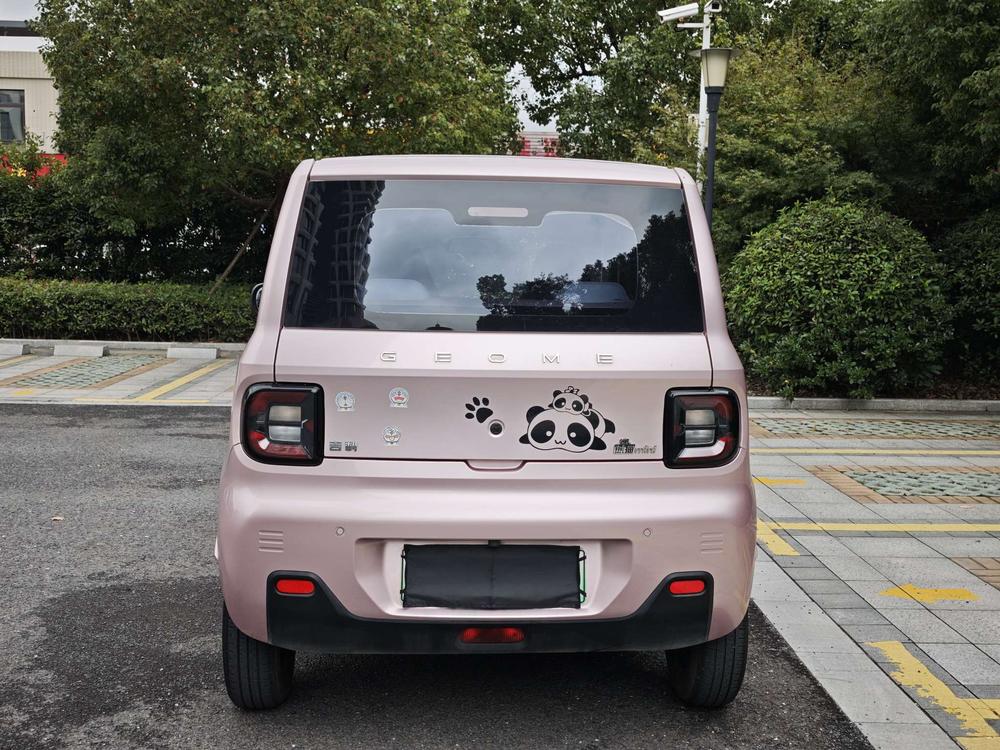 Galaxy Panda