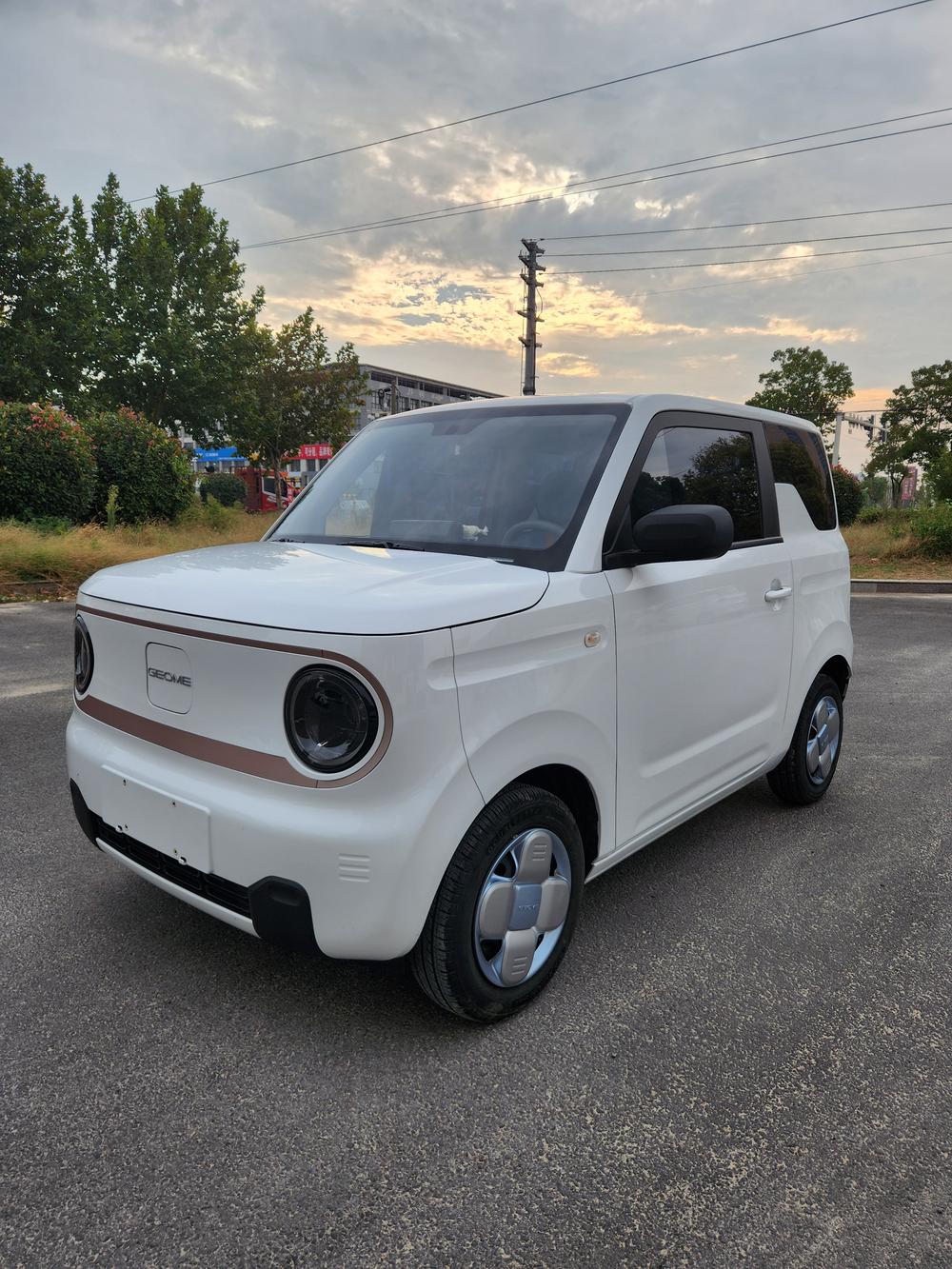 Galaxy Panda