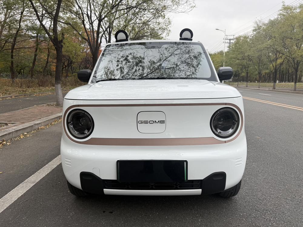 Galaxy Panda
