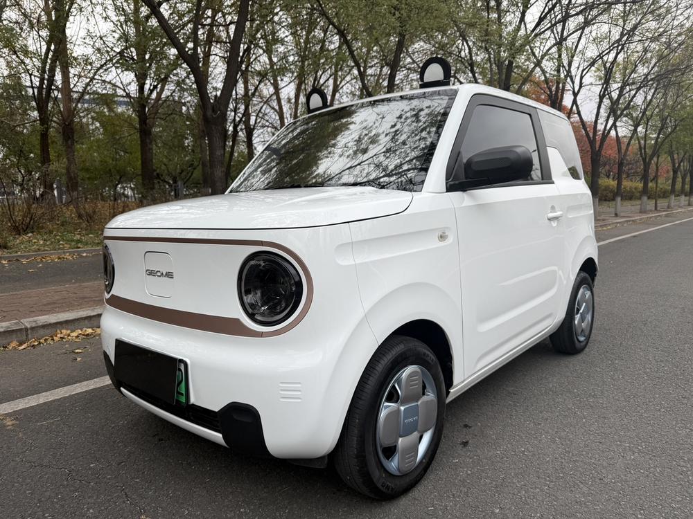 Galaxy Panda